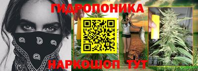 Альфа ПВП Канаш