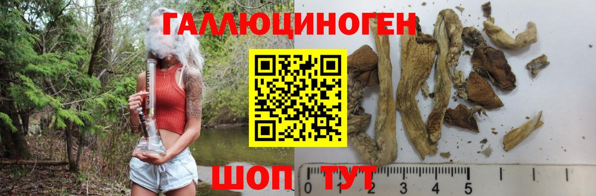 Краснокаменск  Псилоцибиновые грибы GOLDEN TEACHER  Псилоцибиновые грибы MAGIC MUSHROOMS  Вход с VPN 
