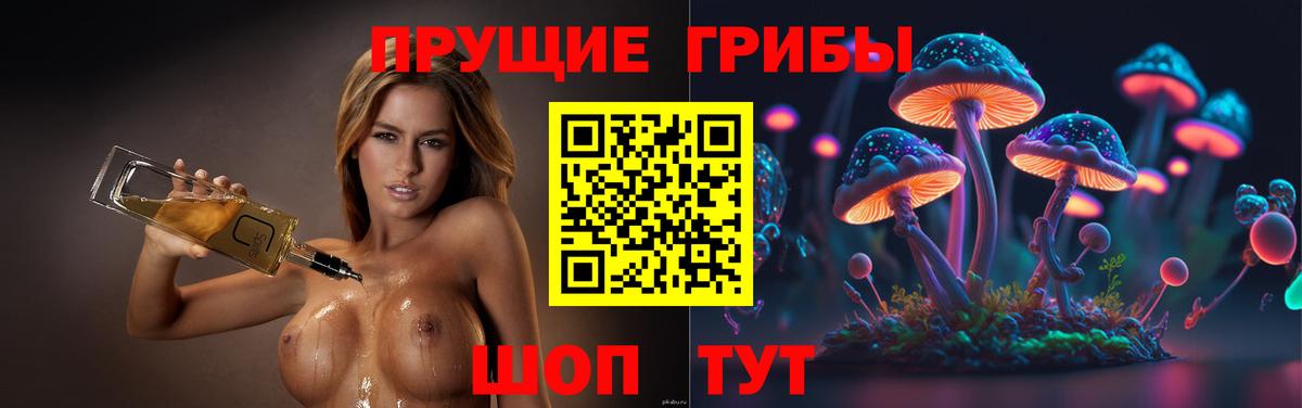 Галлюциногенные грибы прущие грибы Краснокаменск